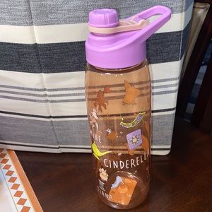 Silver Buffalo Disney Princess water bottle
